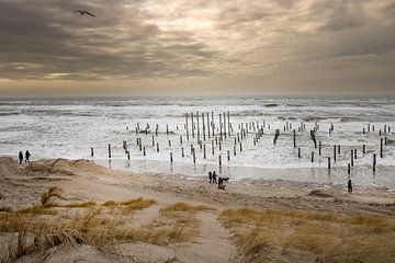 Wild sea and beach at palm village Petten by Marianne van der Zee