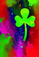 The enchanted lucky shamrock
