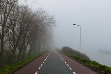weg in de mist