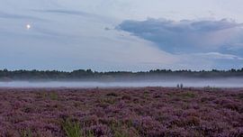 Ground fog on the moors by Peter Veerman