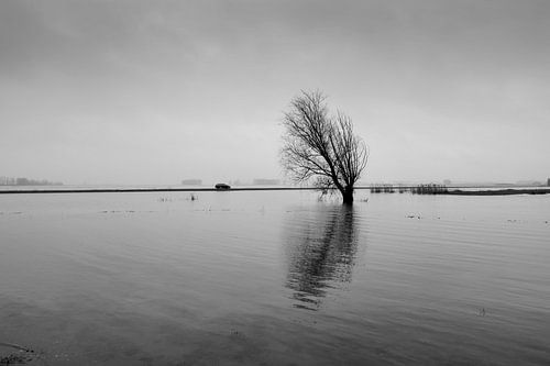 Uniek beeld 2018 overstroming Noordwaard