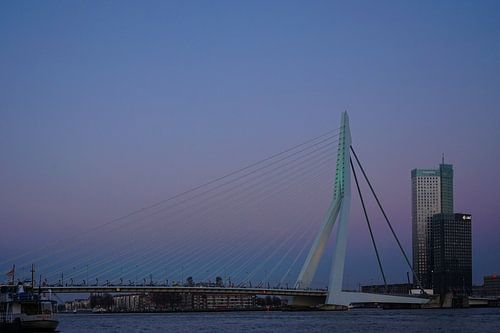  erasmus brug by night