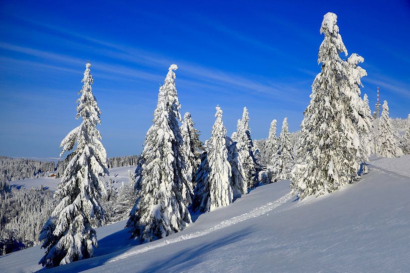 Feldberg with snow by Patrick Lohmüller