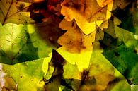 Herfstbladeren 10 van Henk Leijen thumbnail