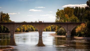 Bridge over the Dordogne by Jan van der Knaap