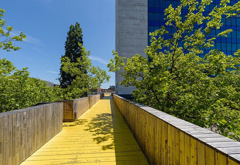 Luchtsingel Rotterdam centrum, Zuid Holland, Netherlands van Martin Stevens
