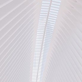 Plafond van de Oculus in New York, Verenigde Staten van Adelheid Smitt