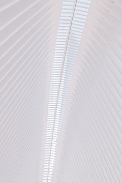 Plafond van de Oculus in New York, Verenigde Staten