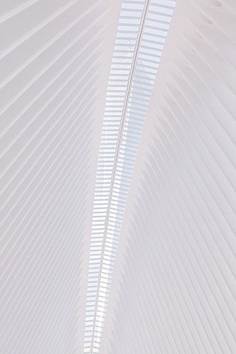 Plafond van de Oculus in New York, Verenigde Staten