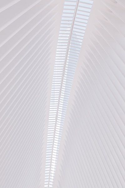 Ceiling of the Oculus in New York, United States by Adelheid Smitt