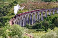 Jacobite-Dampfzug über Glenfinnan-Viadukt Schottland von Thomas Boudewijn Miniaturansicht