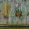 Bunte Kaimauer von Frans Blok - Fotos, Kunst und weitere Wanddekoration
