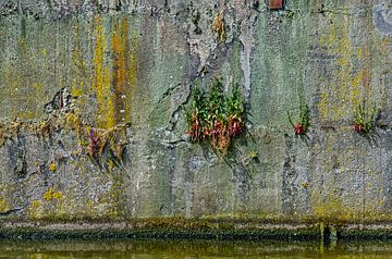 Colourful quay wall by Frans Blok