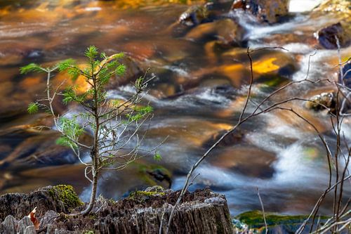 at the beginning of my journey