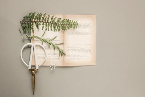 Botanische flatlay, botanical layflat
