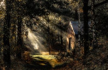 Huisje in het bos van Yori Hurkmans