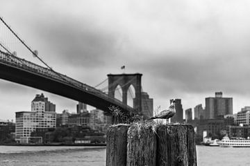 Brooklyn bridge - New York City van Sander de jong