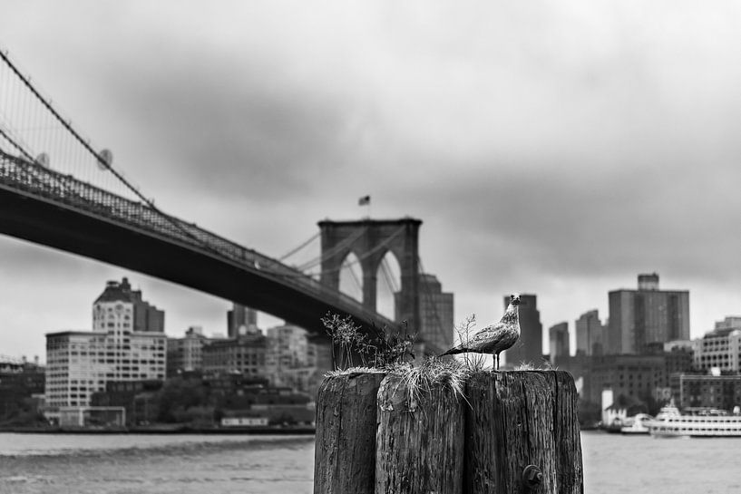 Brooklyn bridge - New York City by Sander de jong