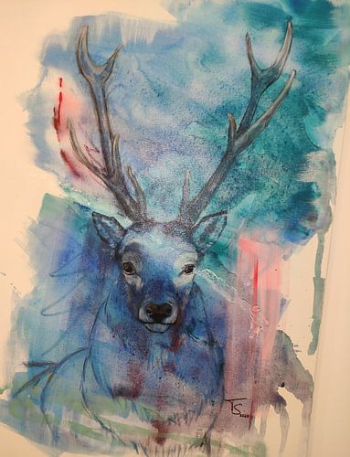 ARTHUR / SCHWARZWALD / SDAW