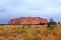 Uluru, of Ayers Rock, Noordelijk Territorium, Australië by Henk van den Brink thumbnail