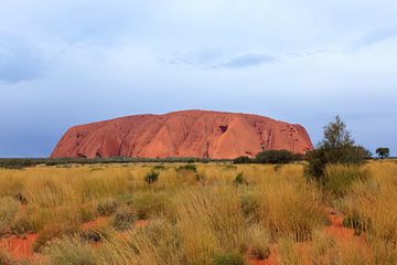 Uluru, of Ayers Rock, Noordelijk Territorium, Australië von Henk van den Brink