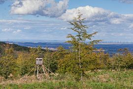 Landscape in autumn, Gernrode
