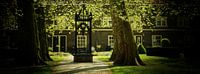 Arend Maartenshof - Dorxdrecht
