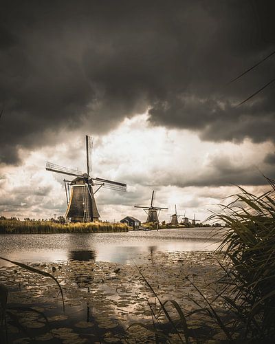 Kinderdijk VI