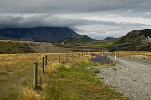 The road to Arthur's Pass | Nieuw Zeeland van Ricardo Bouman