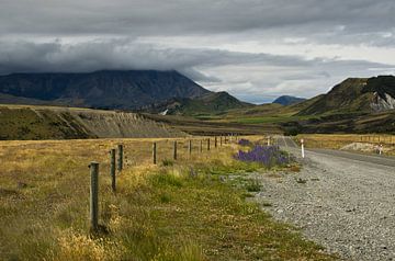 La route vers Arthur's Pass | Nouvelle-Zélande sur Ricardo Bouman