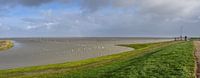High water / High tide