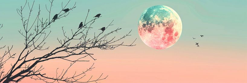 Volle maan van Poster Art Shop