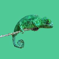 Chameleon