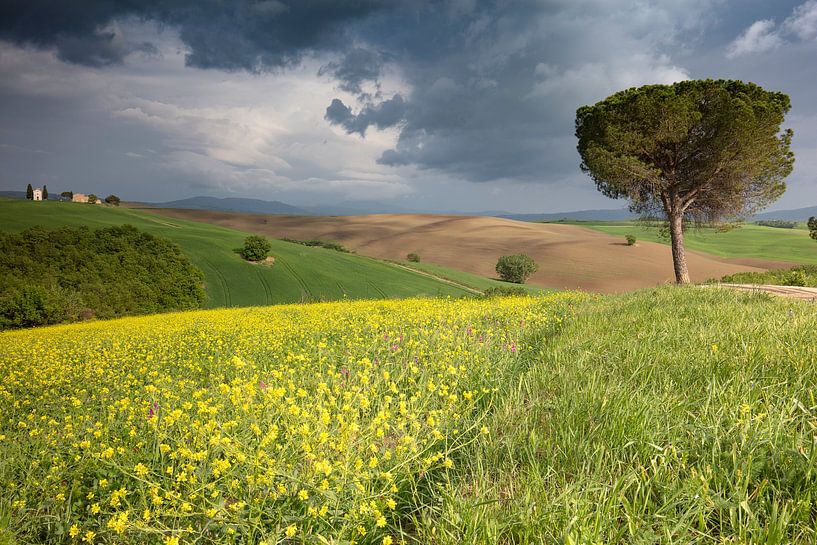 Cappella della Madonna di Vitaleta von Andreas Müller