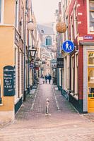 Leiden alley