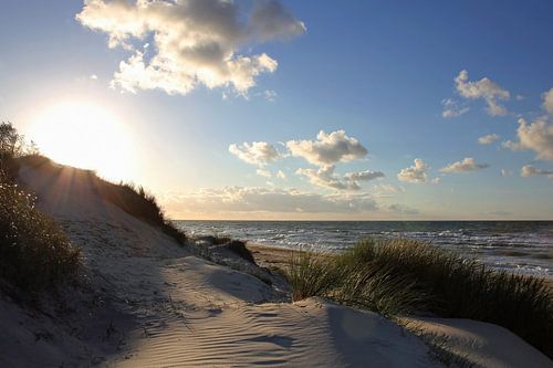 Die Strahlen der Sonne