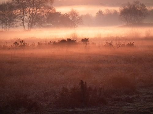 Zonnegloed over de mistige heide