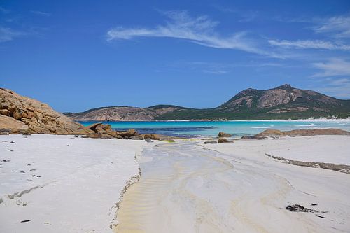 De baai vullen