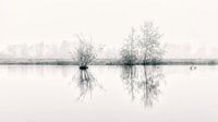 Mystieke polder