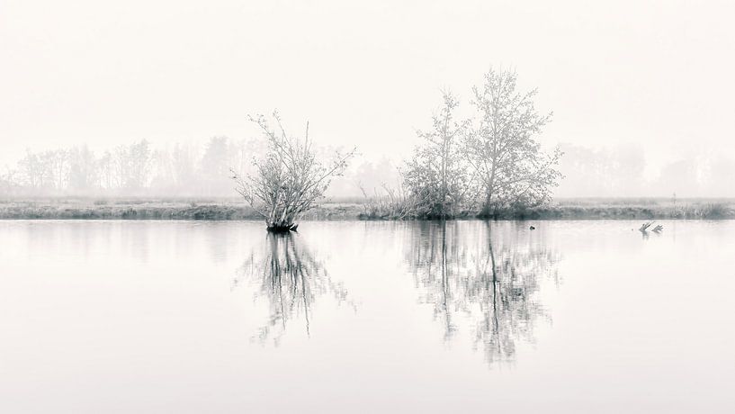 Mystical polder by Robbert Ladan