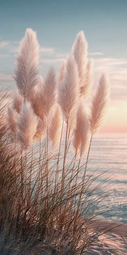 Pampagras bij de glinsterende zee