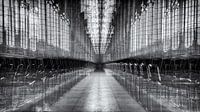 Laurenskerk Rotterdam Exposition multiple