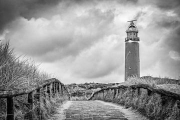 Pad naar de vuurtoren van Texel. van Ron van der Stappen