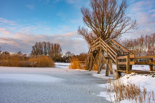 Cackle post Schagen in the winter.