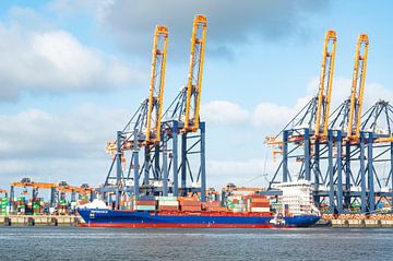 Containerschip Esperance bij de containerterminal in de haven van Rotterdam