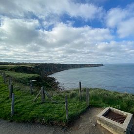 Rindert den Hertog Profile picture