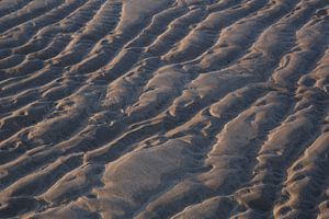Lignes dans le sable