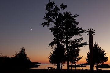 Coucher de soleil sur l'île de Vancouver sur Stefan Verheij
