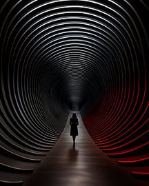Aesthetic minimalism