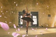 Tanz mit Rosen von Arjen Roos Miniaturansicht